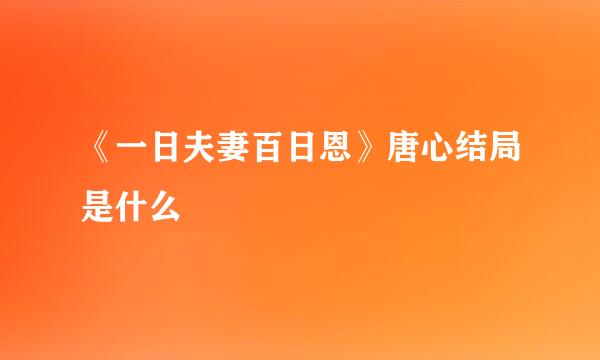 《一日夫妻百日恩》唐心结局是什么