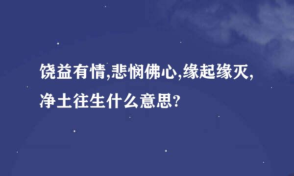 饶益有情,悲悯佛心,缘起缘灭,净土往生什么意思?