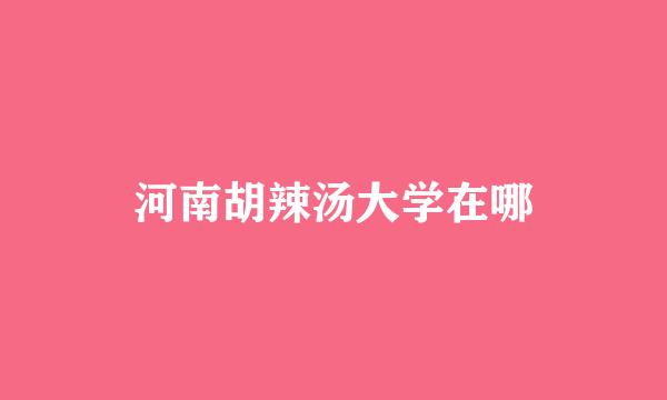 河南胡辣汤大学在哪