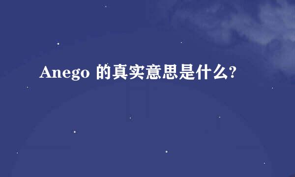 Anego 的真实意思是什么?