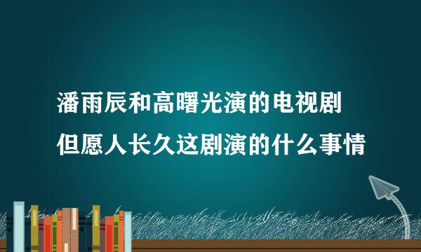 潘雨辰和高曙光演的电视剧 但愿人长久这剧演的什么事情