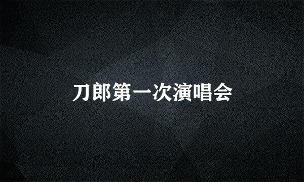 刀郎第一次演唱会