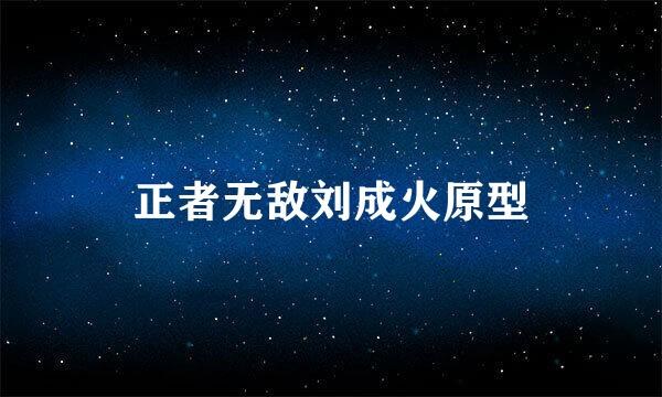 正者无敌刘成火原型