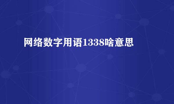 网络数字用语1338啥意思