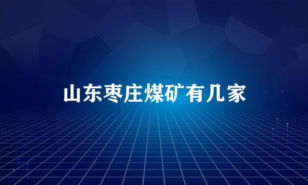 山东枣庄煤矿有几家