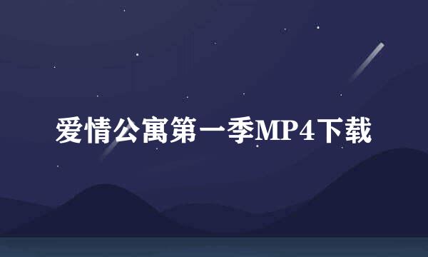 爱情公寓第一季MP4下载