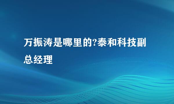 万振涛是哪里的?泰和科技副总经理