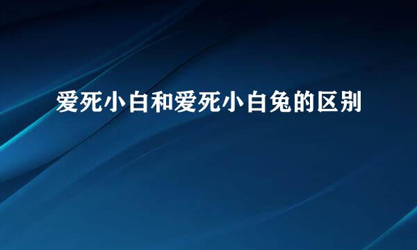 爱死小白和爱死小白兔的区别