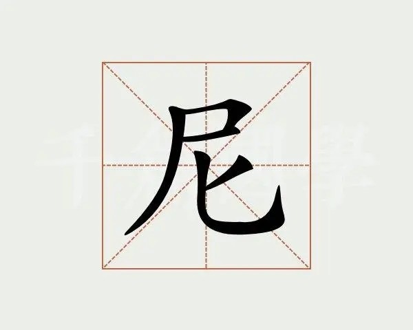 尼怎么组词