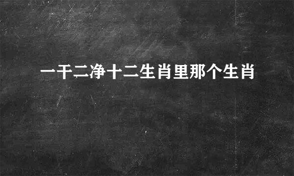 一干二净十二生肖里那个生肖