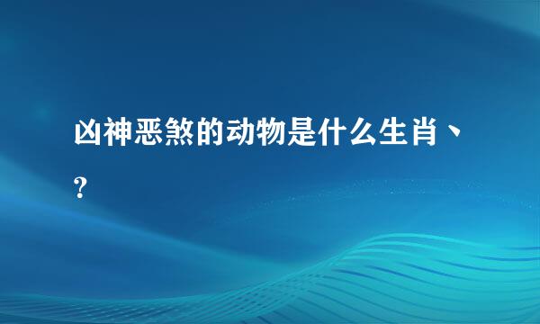 凶神恶煞的动物是什么生肖丶？