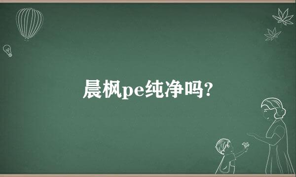 晨枫pe纯净吗?