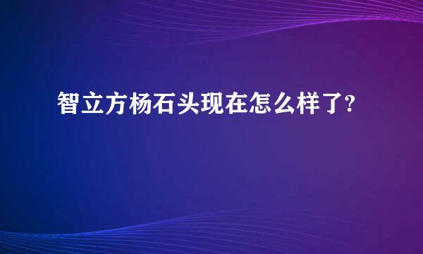 智立方杨石头现在怎么样了?