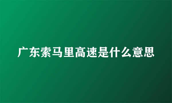 广东索马里高速是什么意思