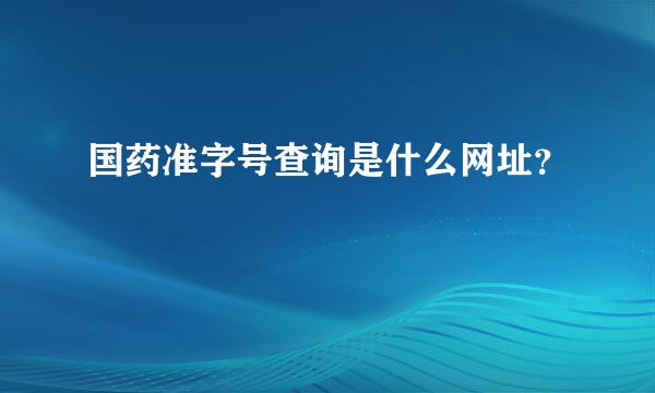 国药准字号查询是什么网址？