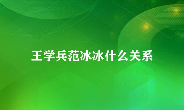 王学兵范冰冰什么关系