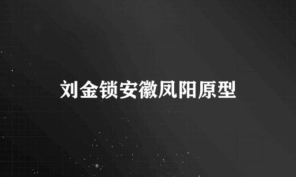 刘金锁安徽凤阳原型