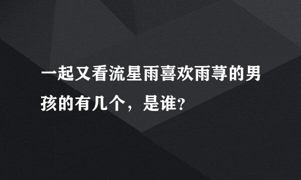 一起又看流星雨喜欢雨荨的男孩的有几个，是谁？