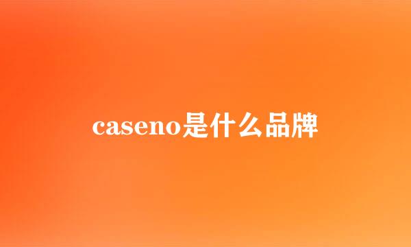 caseno是什么品牌