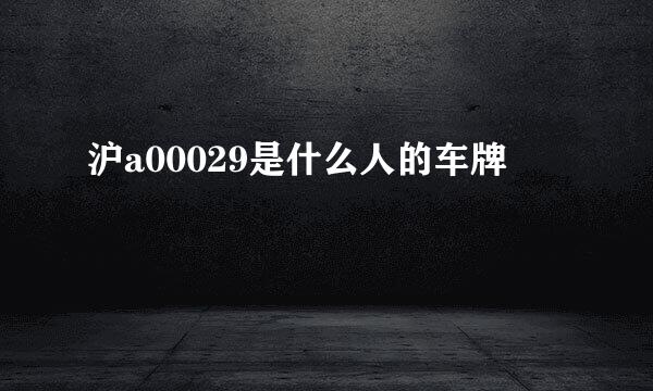 沪a00029是什么人的车牌