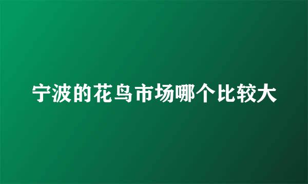 宁波的花鸟市场哪个比较大