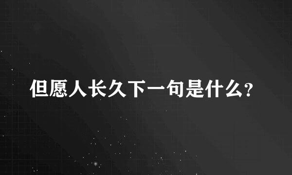 但愿人长久下一句是什么？