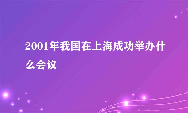 2001年我国在上海成功举办什么会议