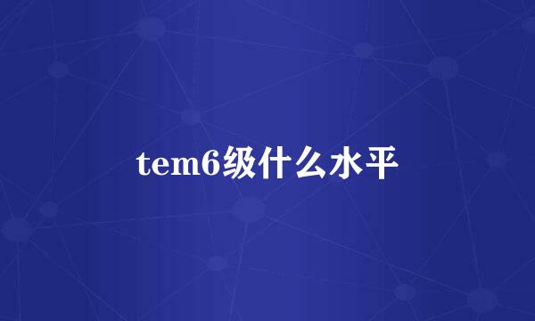 tem6级什么水平