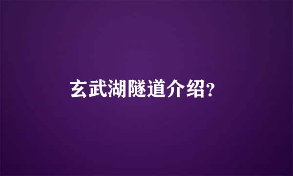 玄武湖隧道介绍？