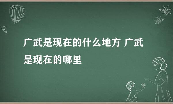 广武是现在的什么地方 广武是现在的哪里