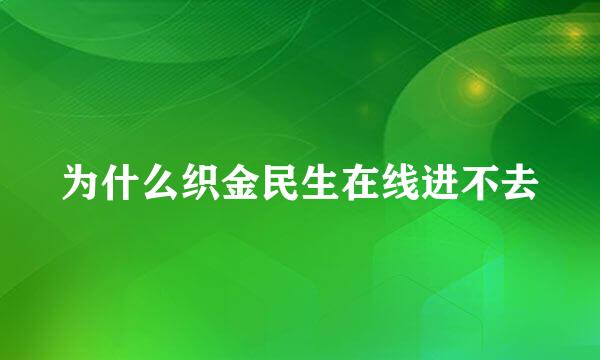 为什么织金民生在线进不去