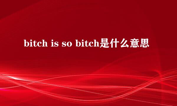 bitch is so bitch是什么意思