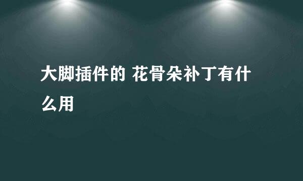 大脚插件的 花骨朵补丁有什么用