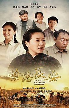 请问大佬有叶落长安2011年上映的由 陈小艺主演的高清视频在线观看资源吗