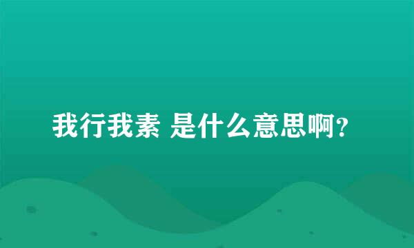 我行我素 是什么意思啊？