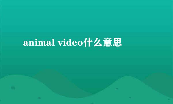 animal video什么意思