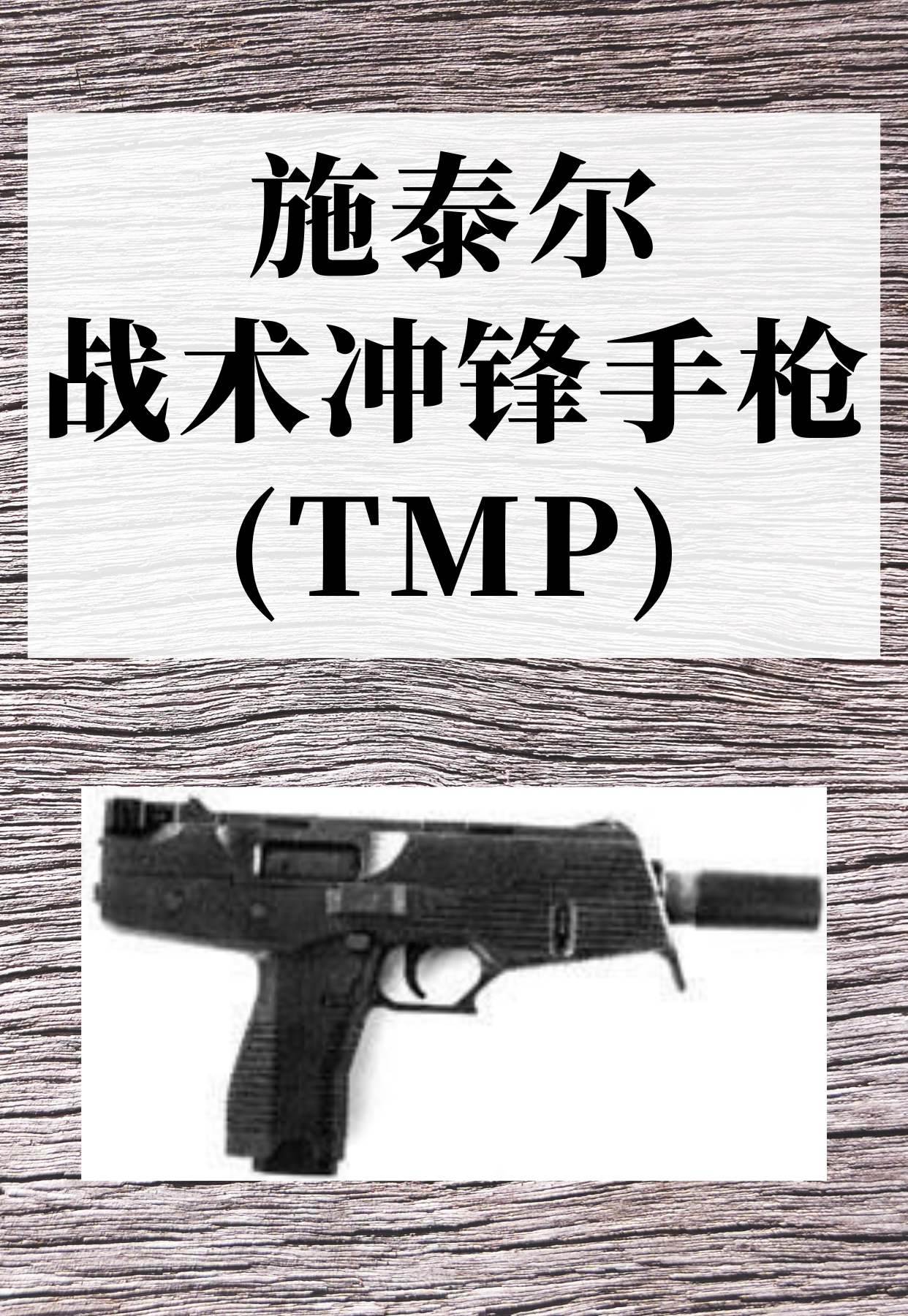 施泰尔战术冲锋手枪(TMP)