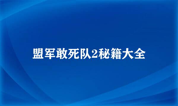 盟军敢死队2秘籍大全