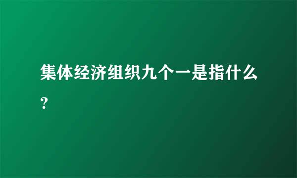 集体经济组织九个一是指什么？