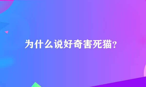 为什么说好奇害死猫？