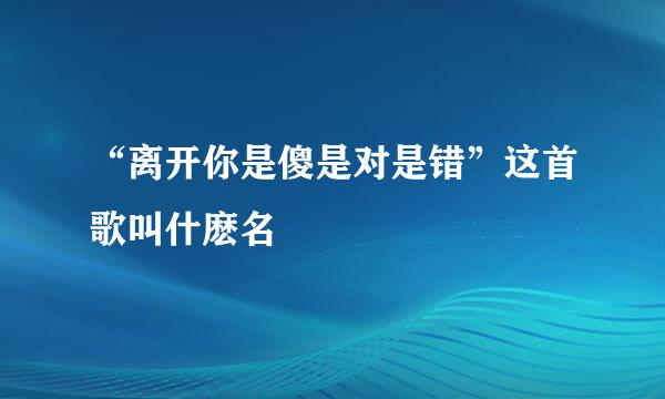 “离开你是傻是对是错”这首歌叫什麽名