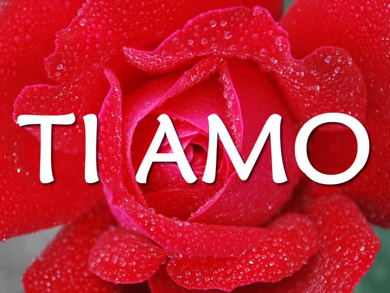 Tiamo 是什么意思？