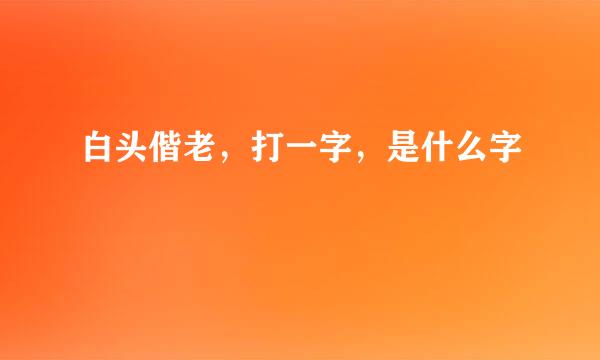 白头偕老，打一字，是什么字