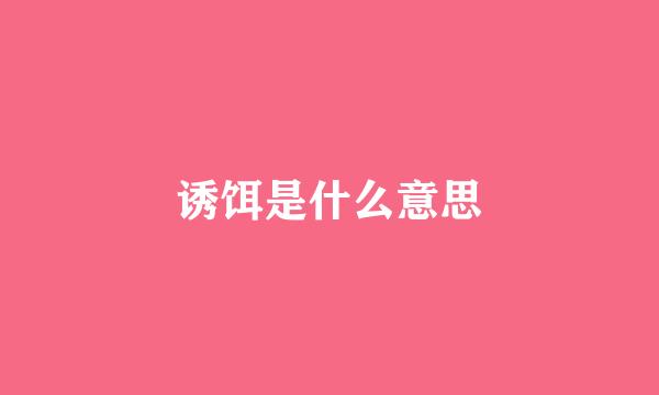 诱饵是什么意思