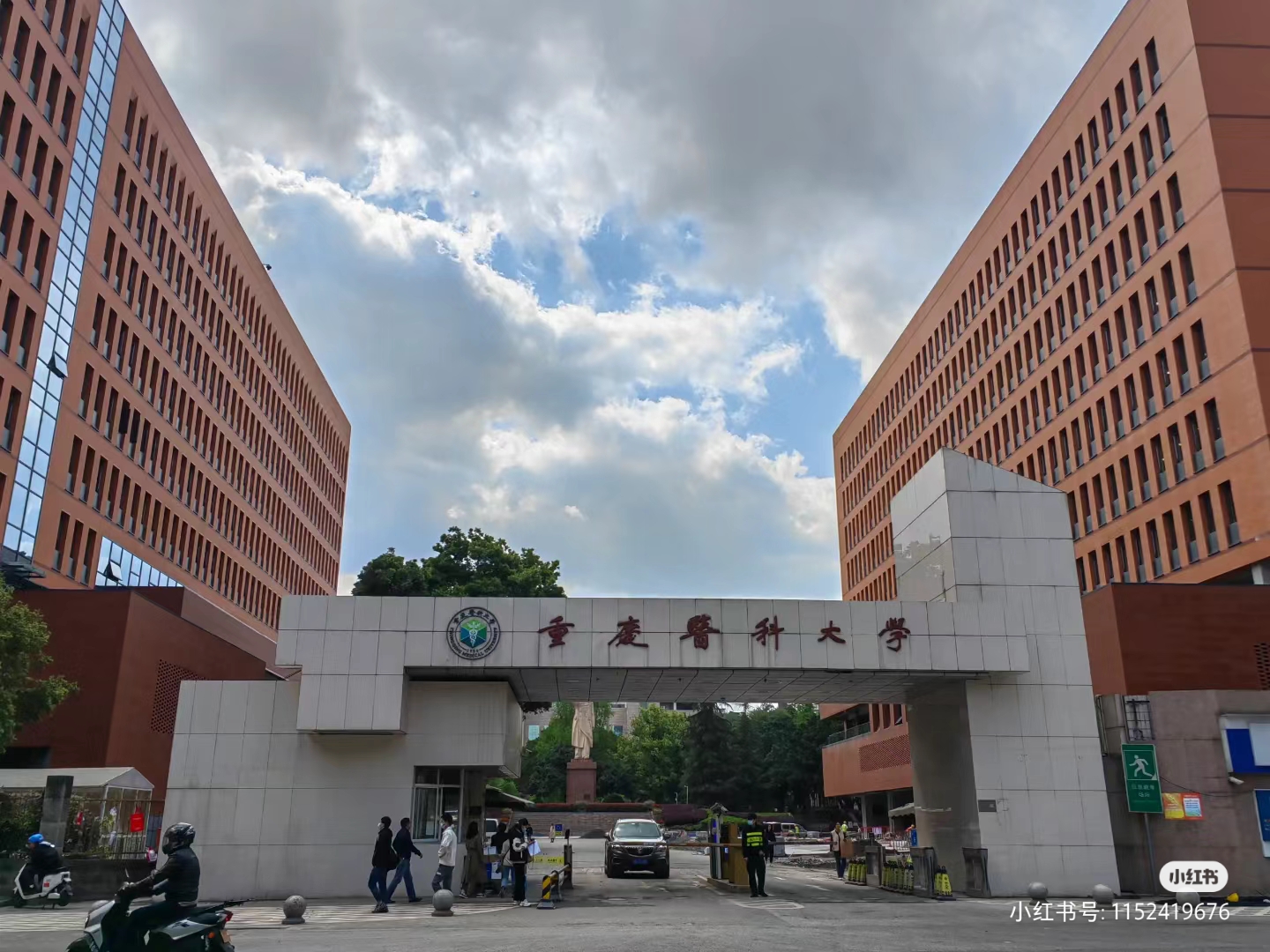 重庆医科大学二本专业有哪些