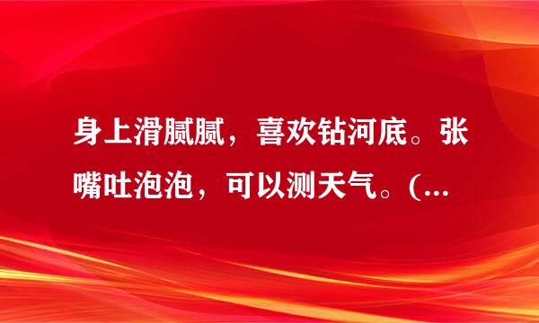 身上滑腻腻，喜欢钻河底。张嘴吐泡泡，可以测天气。(打一动物名)