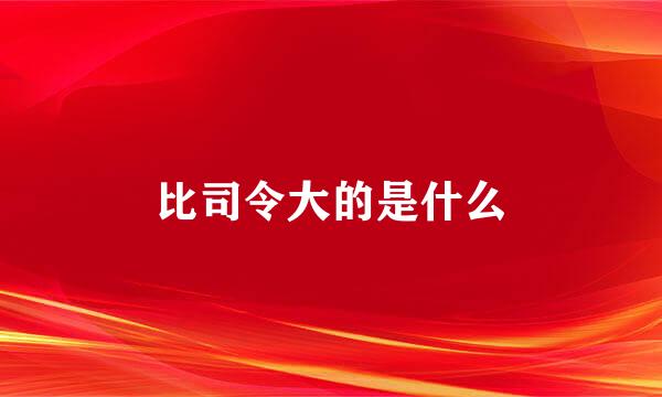 比司令大的是什么