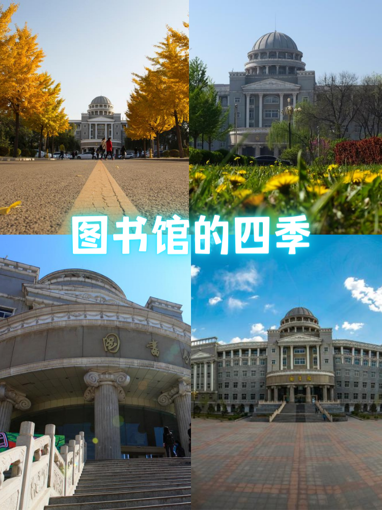 太原科技大学的图书馆怎么样