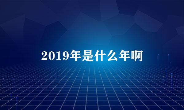 2019年是什么年啊