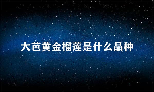 大芭黄金榴莲是什么品种